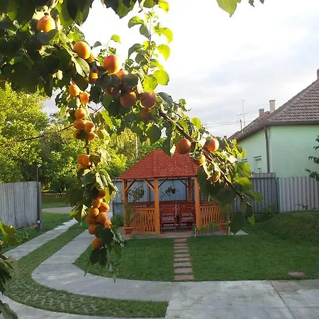 Tiszavirag Apartmanhaz Apartmán Segedín