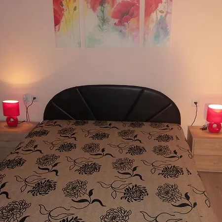 Tiszavirag Apartmanhaz Апартаменты Сегед