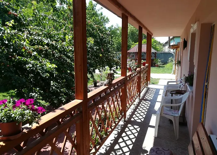 Tiszavirág * Szeged