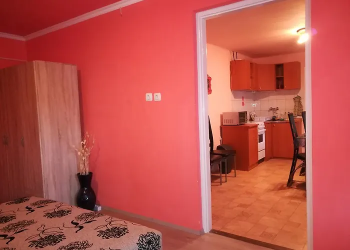 Tiszavirag Apartmanhaz セゲド