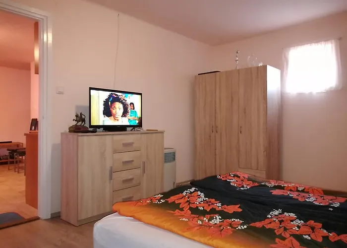 Tiszavirag Apartmanhaz アパート