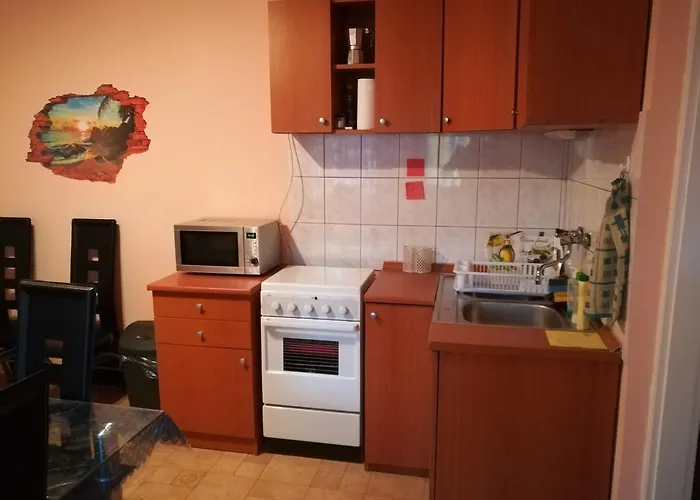 Tiszavirag Apartmanhaz セゲド